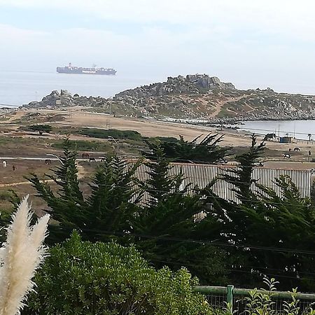 ホテル Cabanas Barrachina, Punta De Tralca エル・キスコ エクステリア 写真