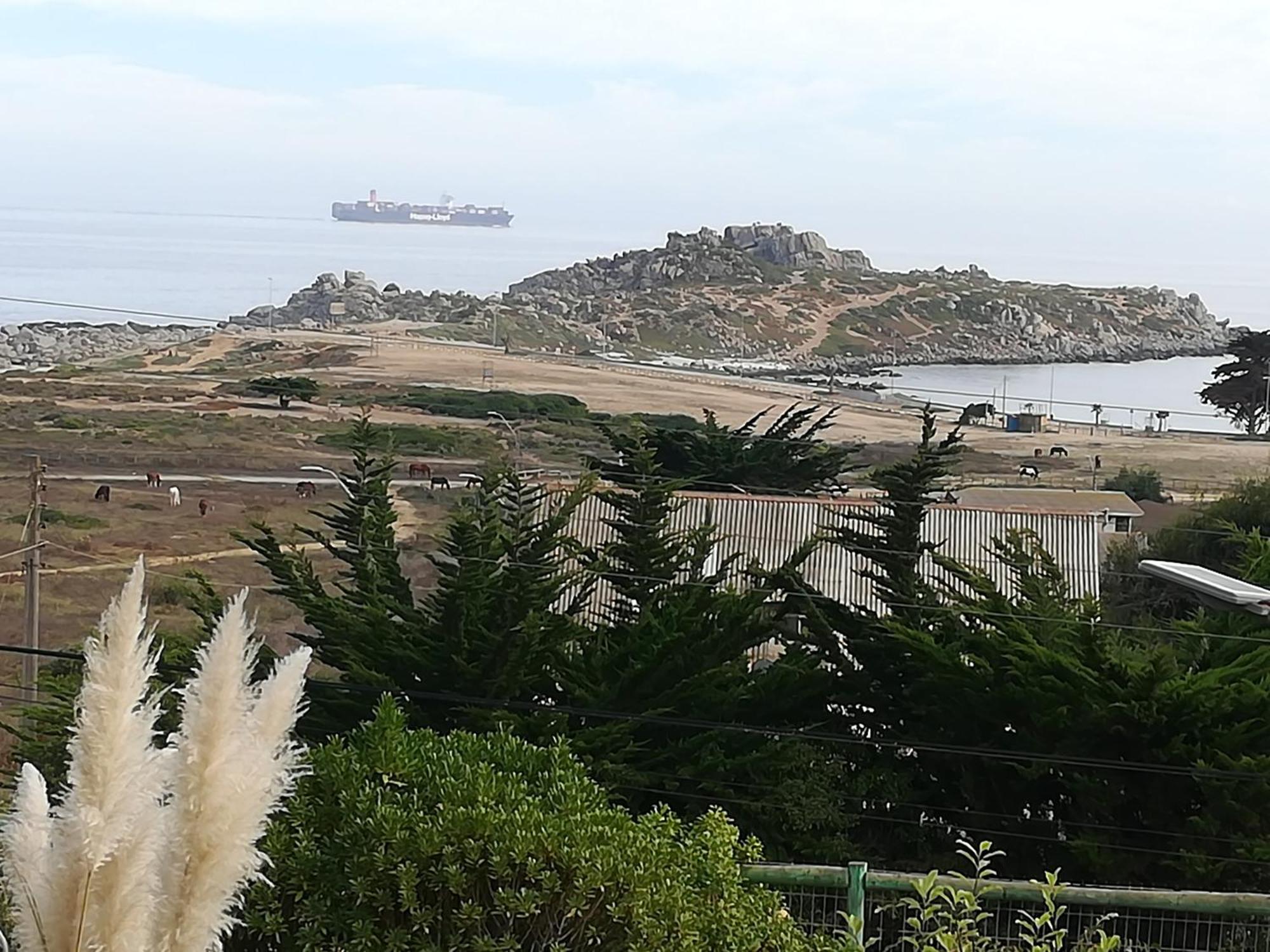 ホテル Cabanas Barrachina, Punta De Tralca エル・キスコ エクステリア 写真